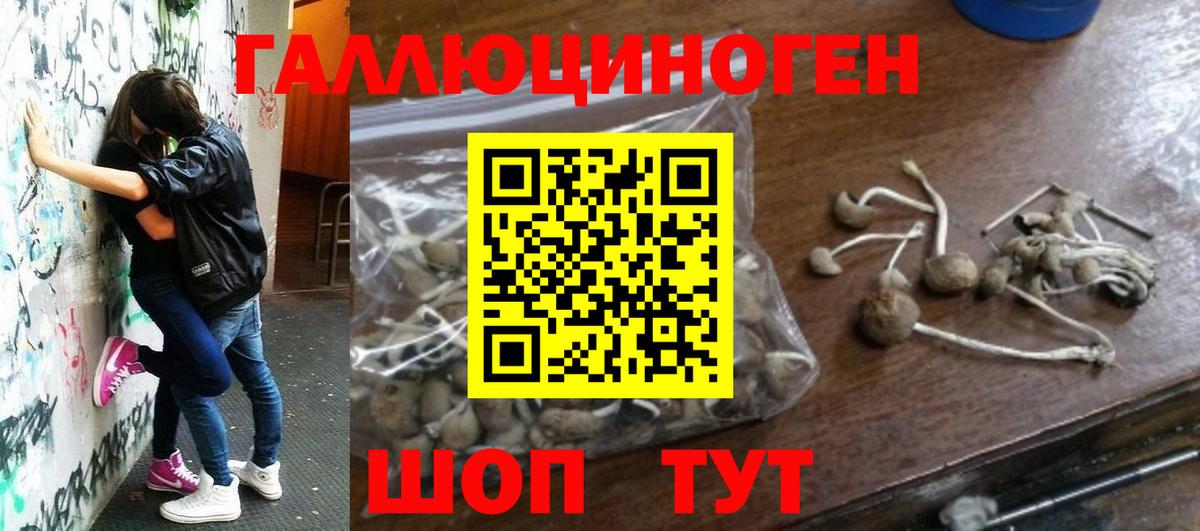 Псилоцибиновые грибы ЛСД  Галлюциногенные грибы MAGIC MUSHROOMS  Вход с VPN  где можно купить   Аша 